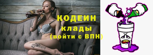 индика Покровск