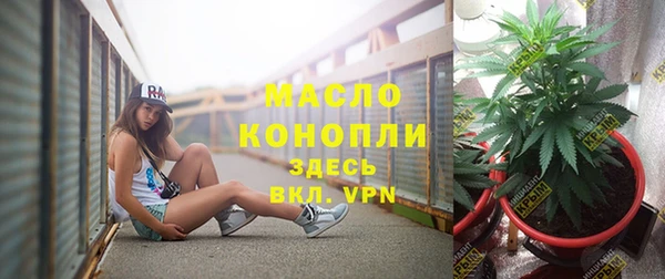 индика Покровск